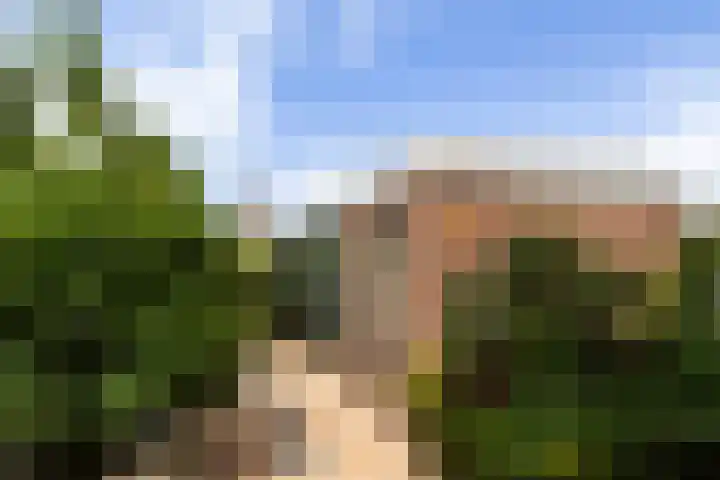 Van Eijcklaan 9 Krimpen aan den IJssel thumbnail 29