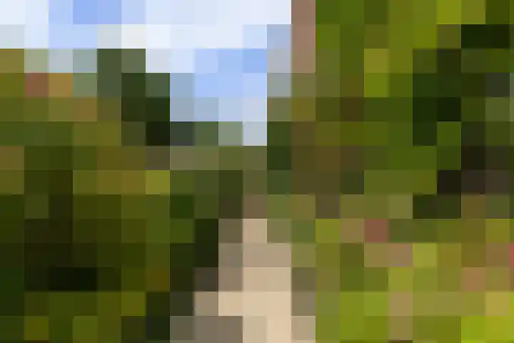 Van Eijcklaan 9 Krimpen aan den IJssel thumbnail 33