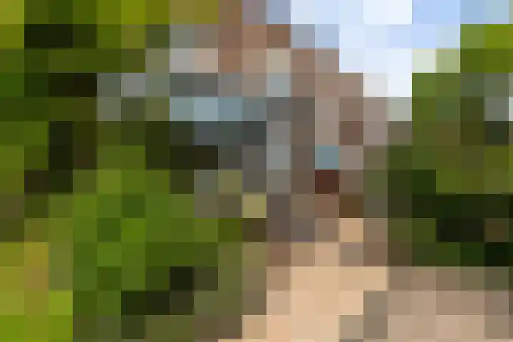 Van Eijcklaan 9 Krimpen aan den IJssel thumbnail 34