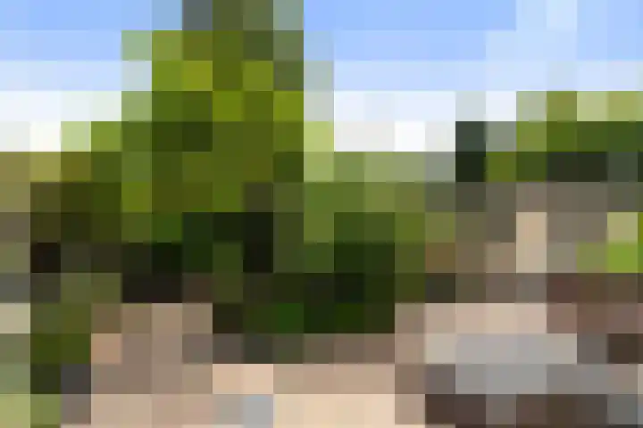 Van Eijcklaan 9 Krimpen aan den IJssel thumbnail 36