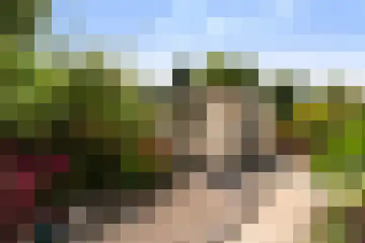 Van Eijcklaan 9 Krimpen aan den IJssel thumbnail 37