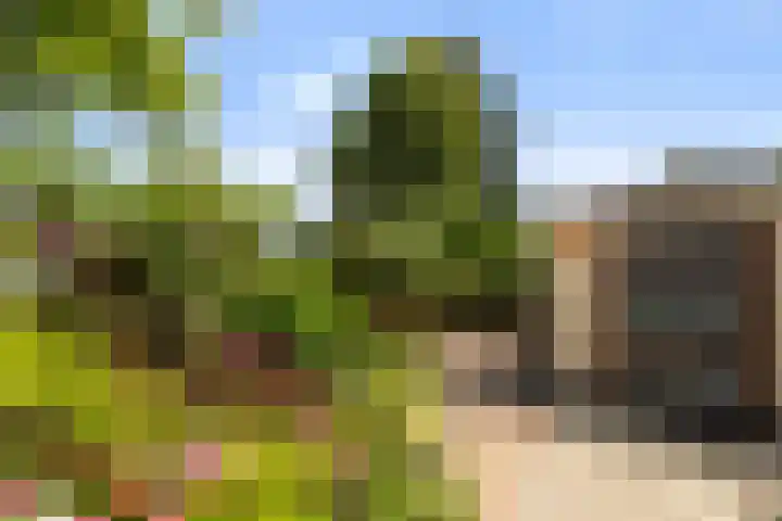 Van Eijcklaan 9 Krimpen aan den IJssel thumbnail 38