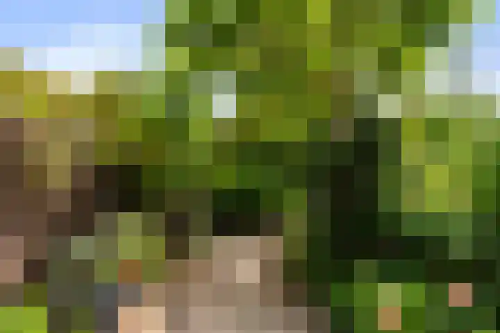 Van Eijcklaan 9 Krimpen aan den IJssel thumbnail 39