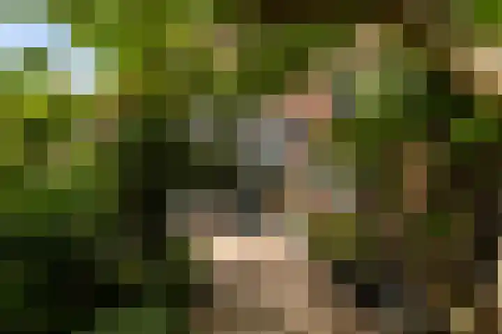 Van Eijcklaan 9 Krimpen aan den IJssel thumbnail 40