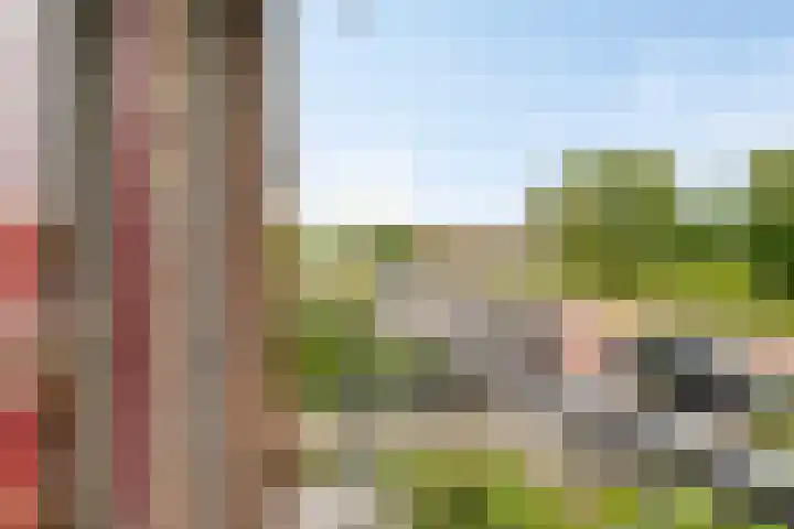 Van Eijckstraat 16 Alphen aan den Rijn thumbnail 12