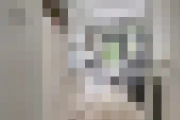 Van Eijckstraat 16 Alphen aan den Rijn thumbnail 13