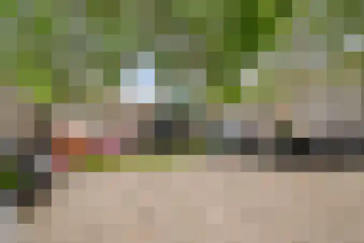 Van Eijckstraat 16 Alphen aan den Rijn thumbnail 20