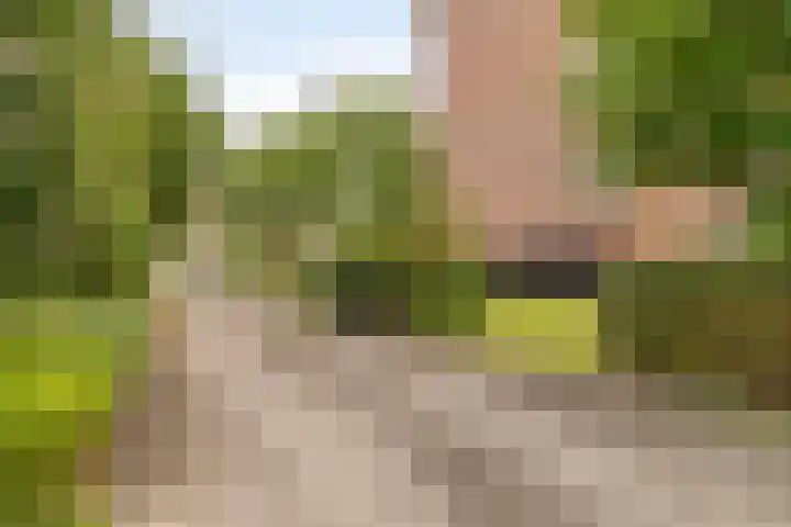 Van Eijckstraat 16 Alphen aan den Rijn thumbnail 24
