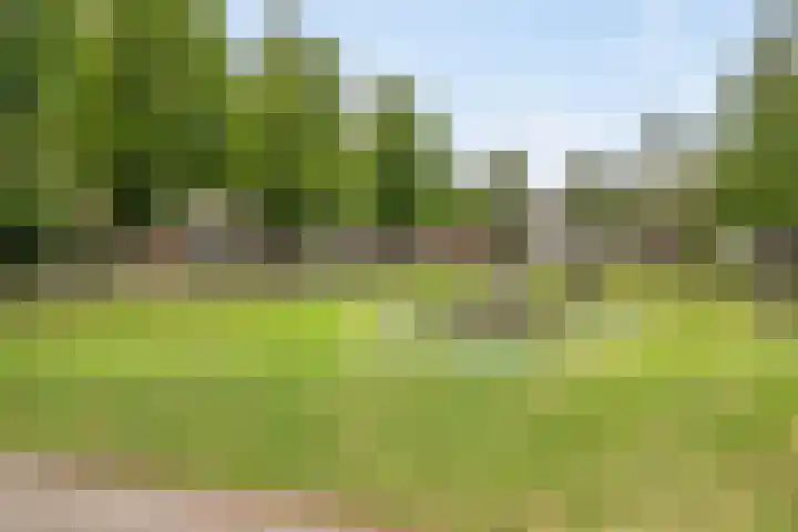 Van Eijckstraat 16 Alphen aan den Rijn thumbnail 29
