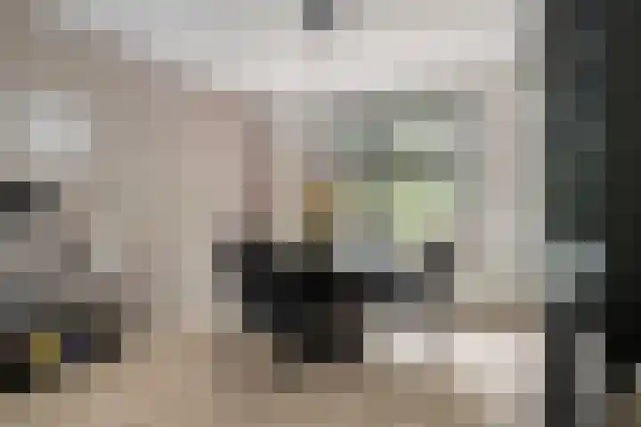 Van Eijckstraat 16 Alphen aan den Rijn thumbnail 9
