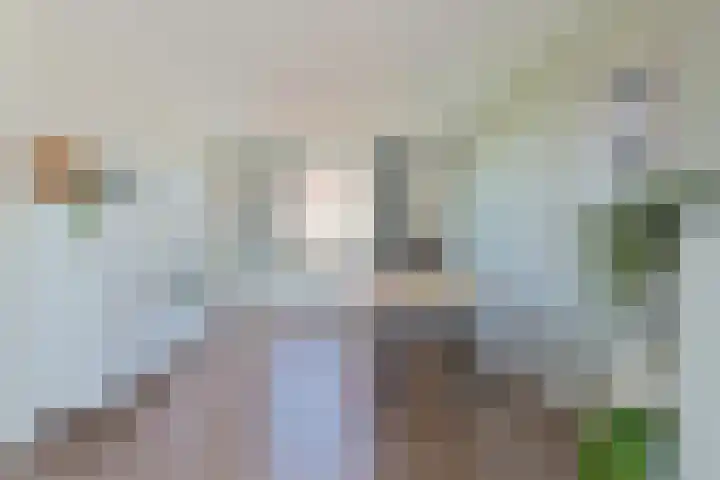 Van Eijckstraat 3 Alphen aan den Rijn thumbnail 17