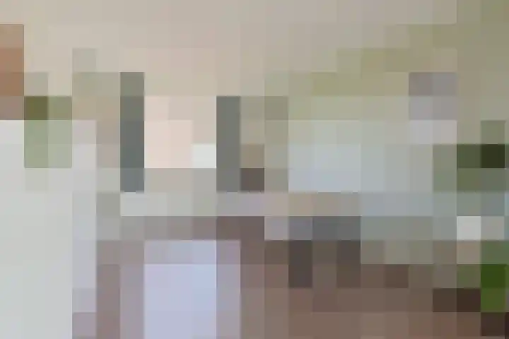 Van Eijckstraat 3 Alphen aan den Rijn thumbnail 18