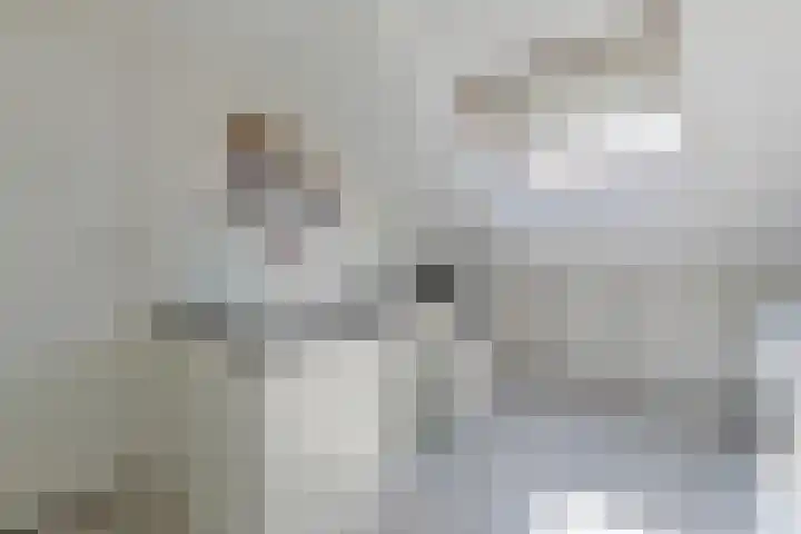 Van Eijckstraat 3 Alphen aan den Rijn thumbnail 31