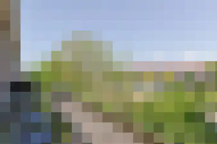 Van Eijckstraat 3 Alphen aan den Rijn thumbnail 44