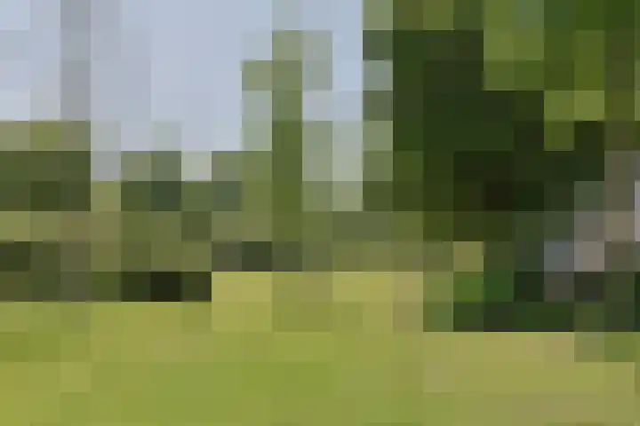 Van Eijckstraat 3 Alphen aan den Rijn thumbnail 47