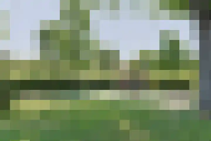 Van Eijckstraat 3 Alphen aan den Rijn thumbnail 48