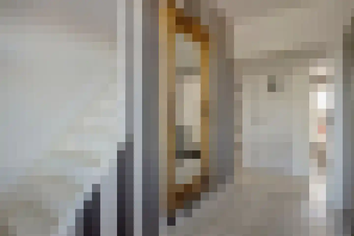 Van Eijckstraat 6 Alphen aan den Rijn thumbnail 13