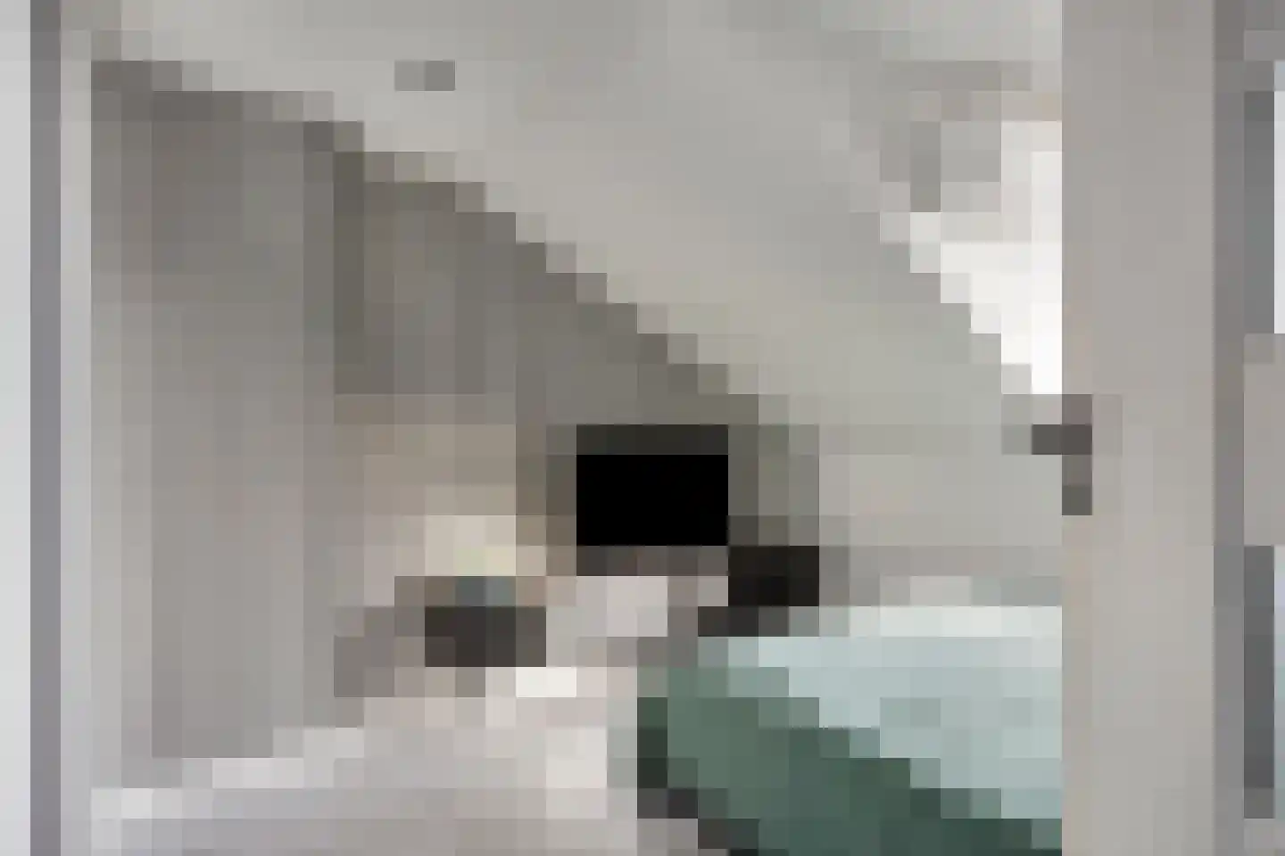 Van Eijckstraat 6 Alphen aan den Rijn thumbnail 17