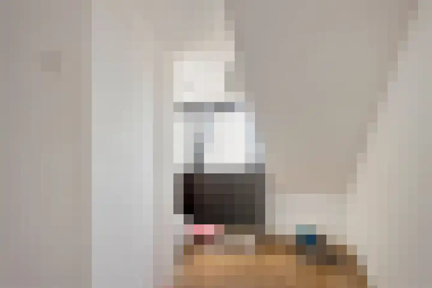 Van Eijckstraat 6 Alphen aan den Rijn thumbnail 20