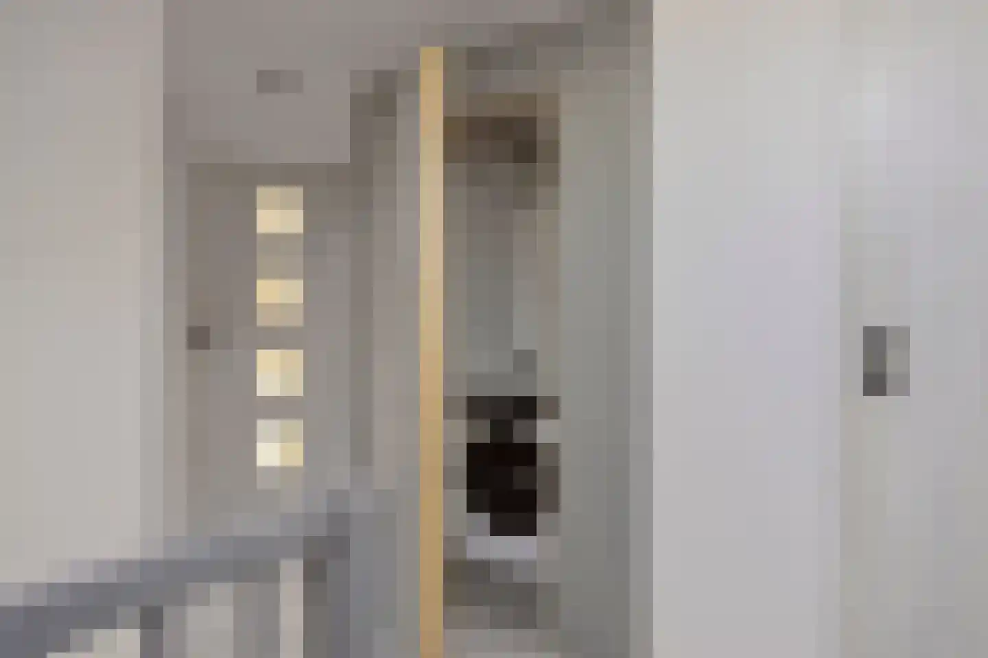 Van Eijckstraat 6 Alphen aan den Rijn thumbnail 22