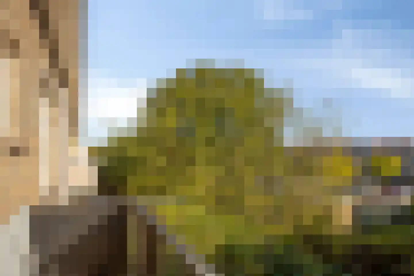 Van Eijckstraat 6 Alphen aan den Rijn thumbnail 23