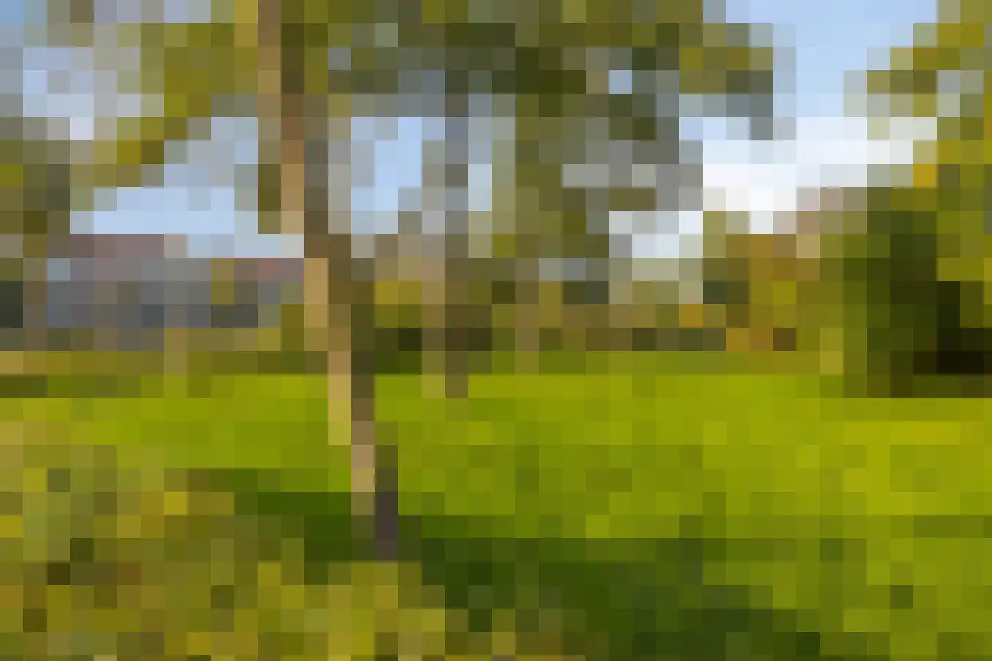 Van Eijckstraat 6 Alphen aan den Rijn thumbnail 28