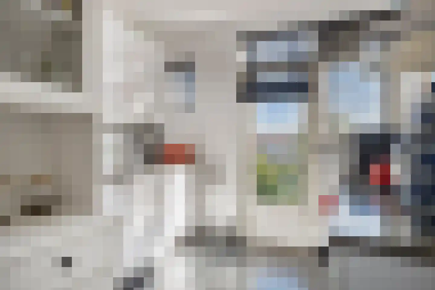 Van Eijckstraat 6 Alphen aan den Rijn thumbnail 5