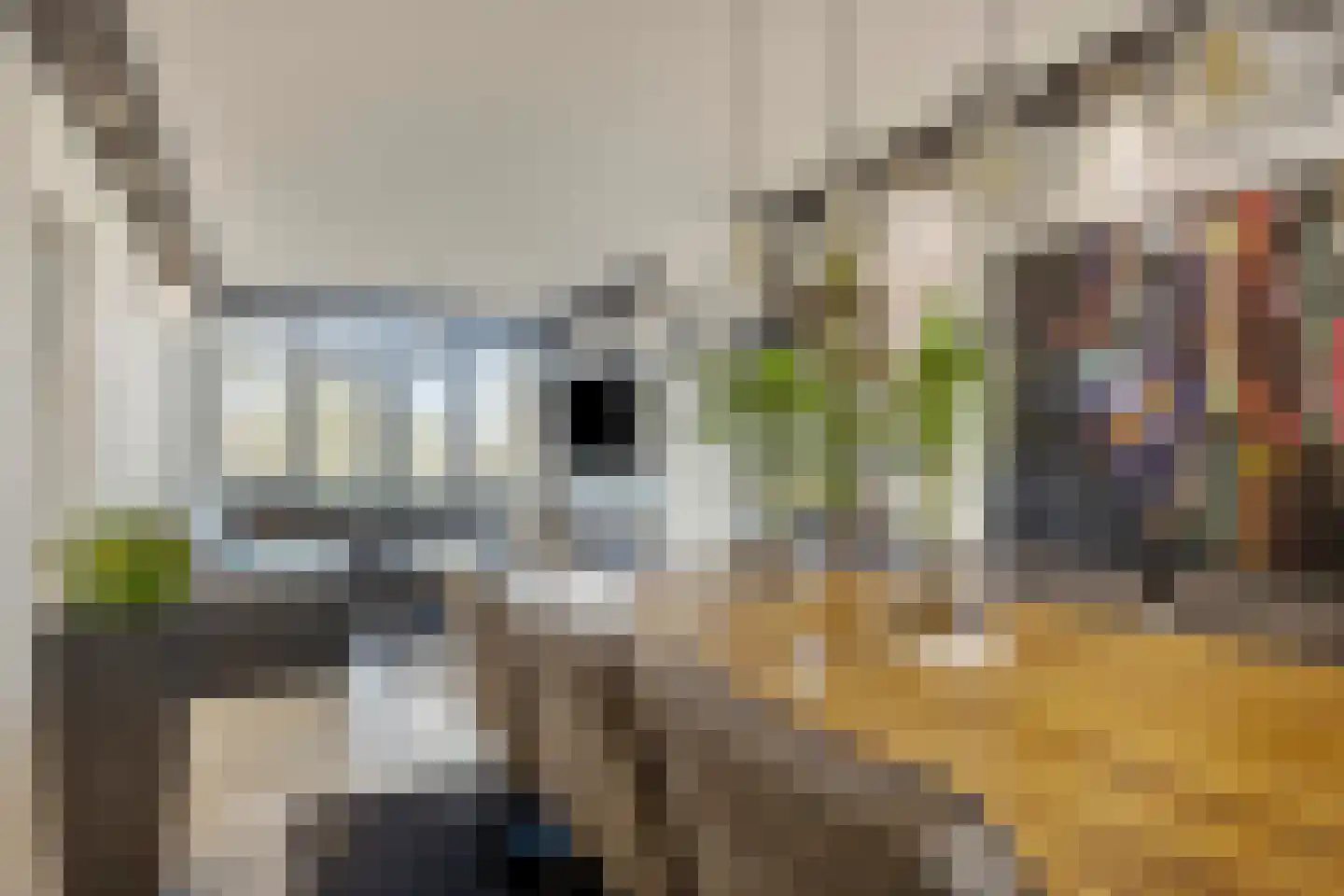 Van Eijckstraat 6 Alphen aan den Rijn thumbnail 6