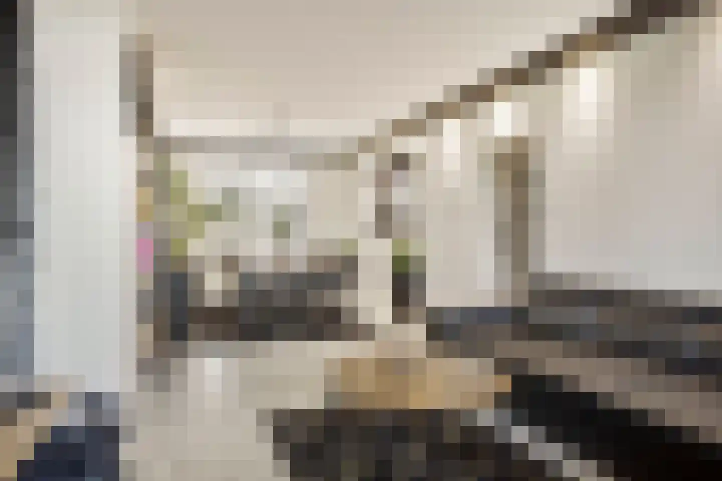Van Eijckstraat 6 Alphen aan den Rijn thumbnail 8