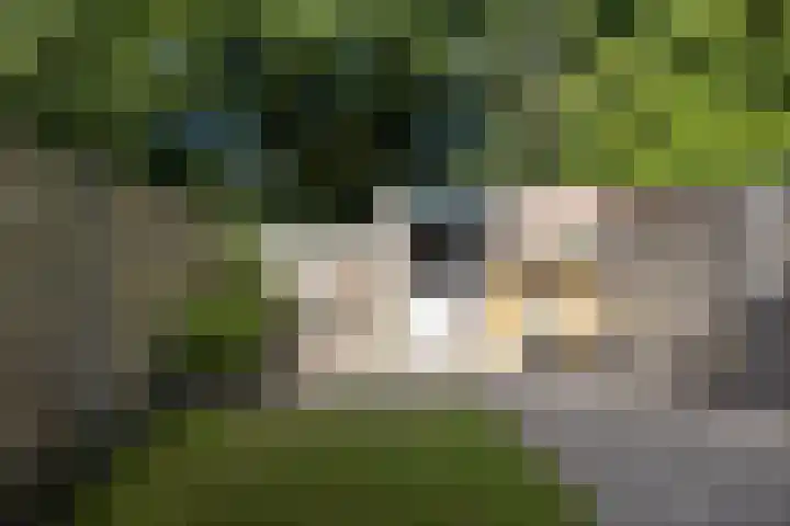 Van Eijdenhof 17 Leusden thumbnail 28