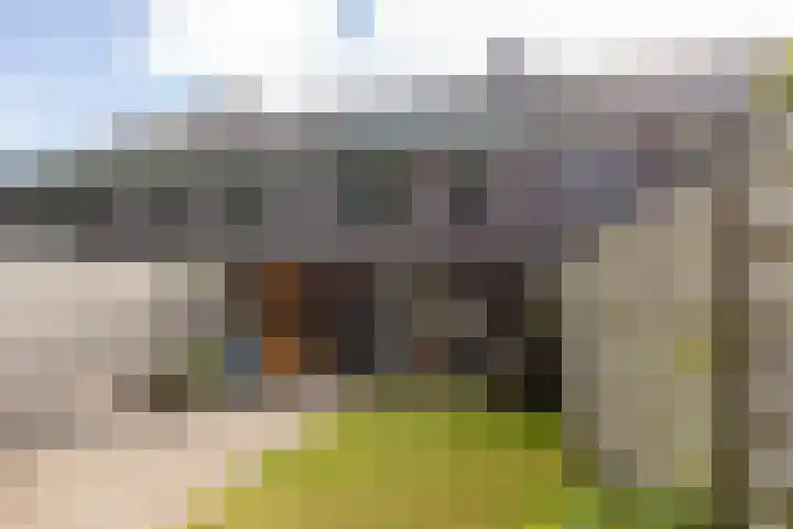 Van Eijdenhof 17 Leusden thumbnail 30