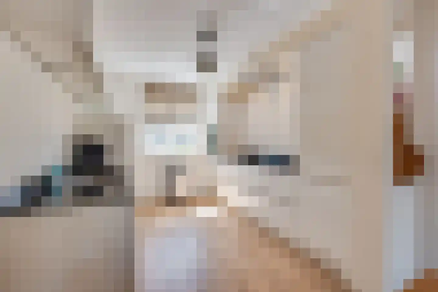 Van Eijdenplantsoen 15 Eemnes thumbnail 13
