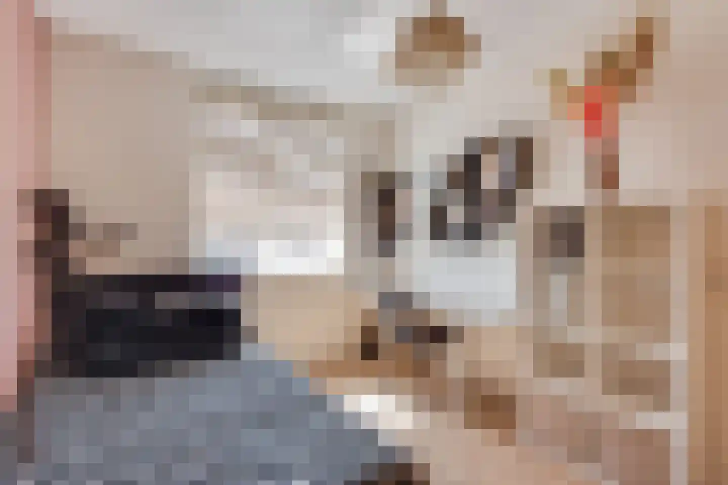 Van Eijdenplantsoen 15 Eemnes thumbnail 21