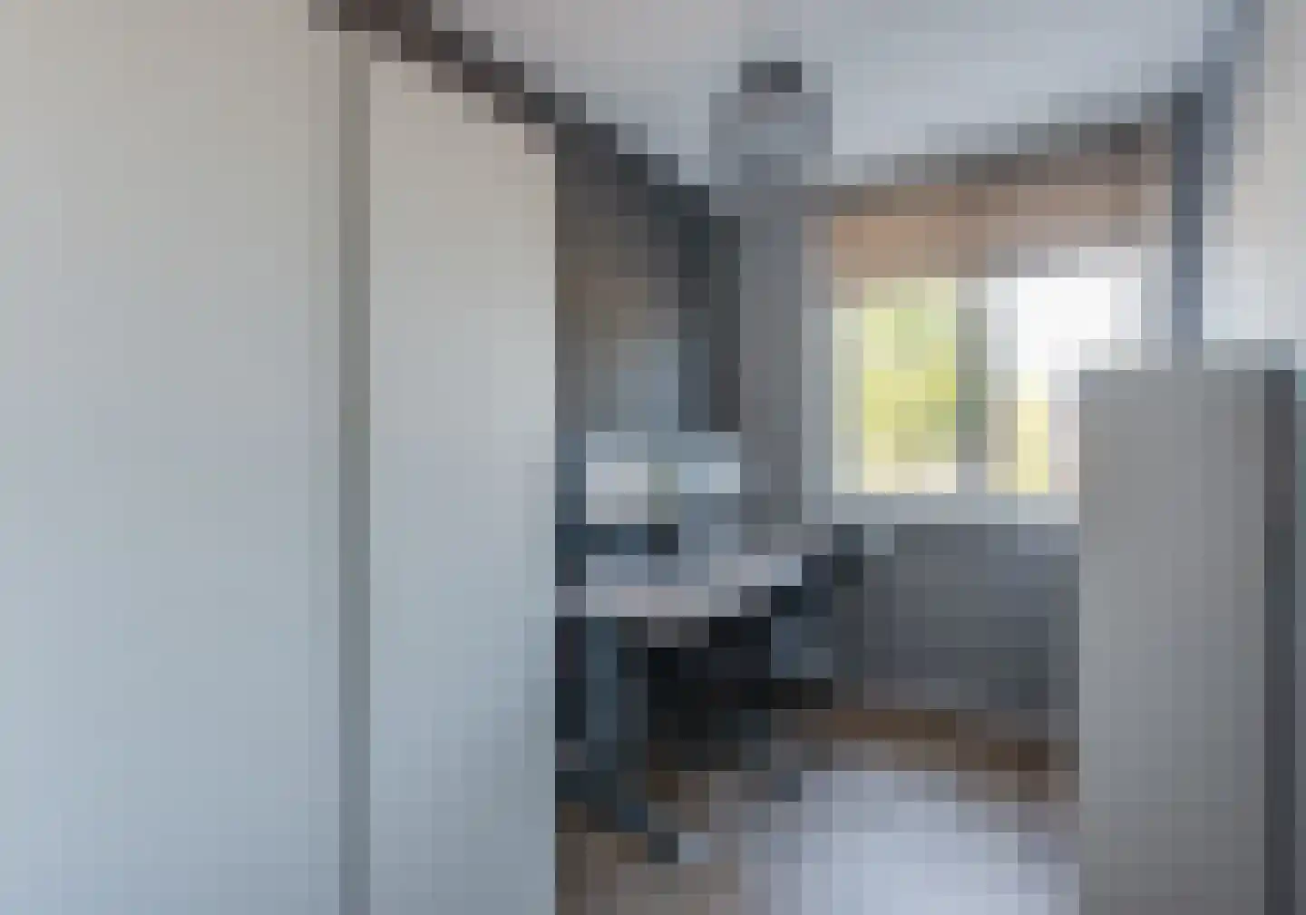 Van Eijdenplantsoen 15 Eemnes thumbnail 23