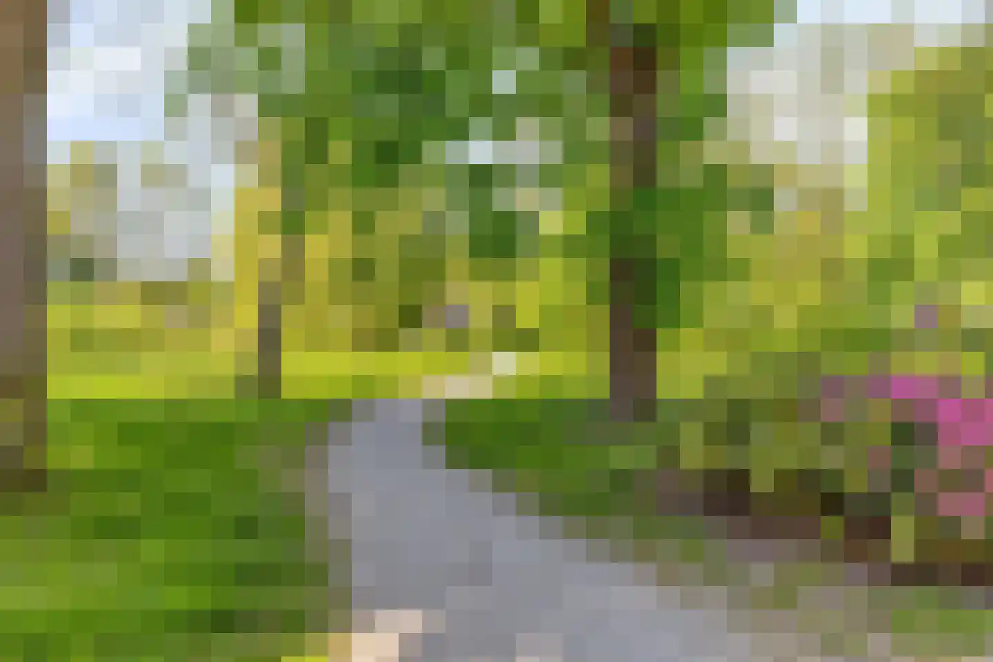 Van Eijsingapark 5 Leiden thumbnail 51