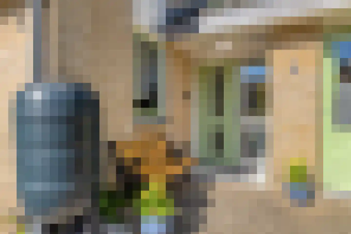 Van Eijsingapark 5 Leiden thumbnail 6