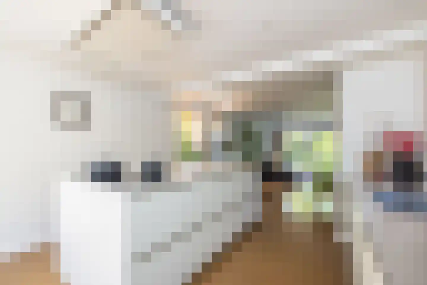 Van Eijsingapark 8 Leiden thumbnail 13