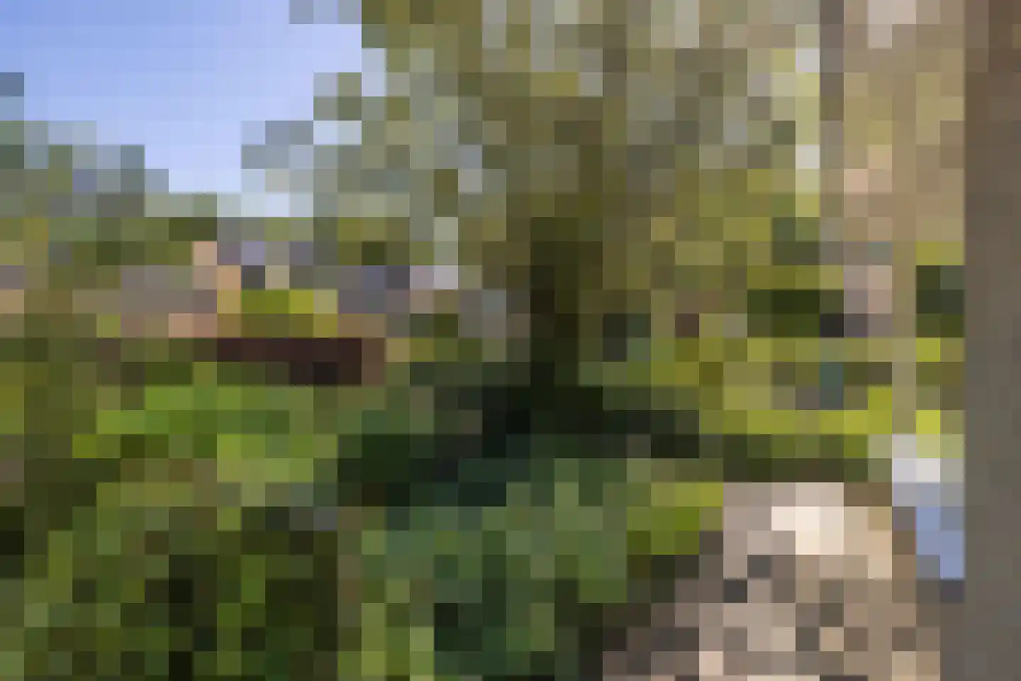 Van Eijsingapark 8 Leiden thumbnail 6