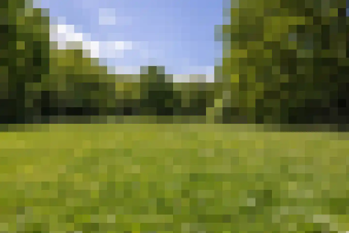 Van Eijsingapark 8 Leiden thumbnail 67