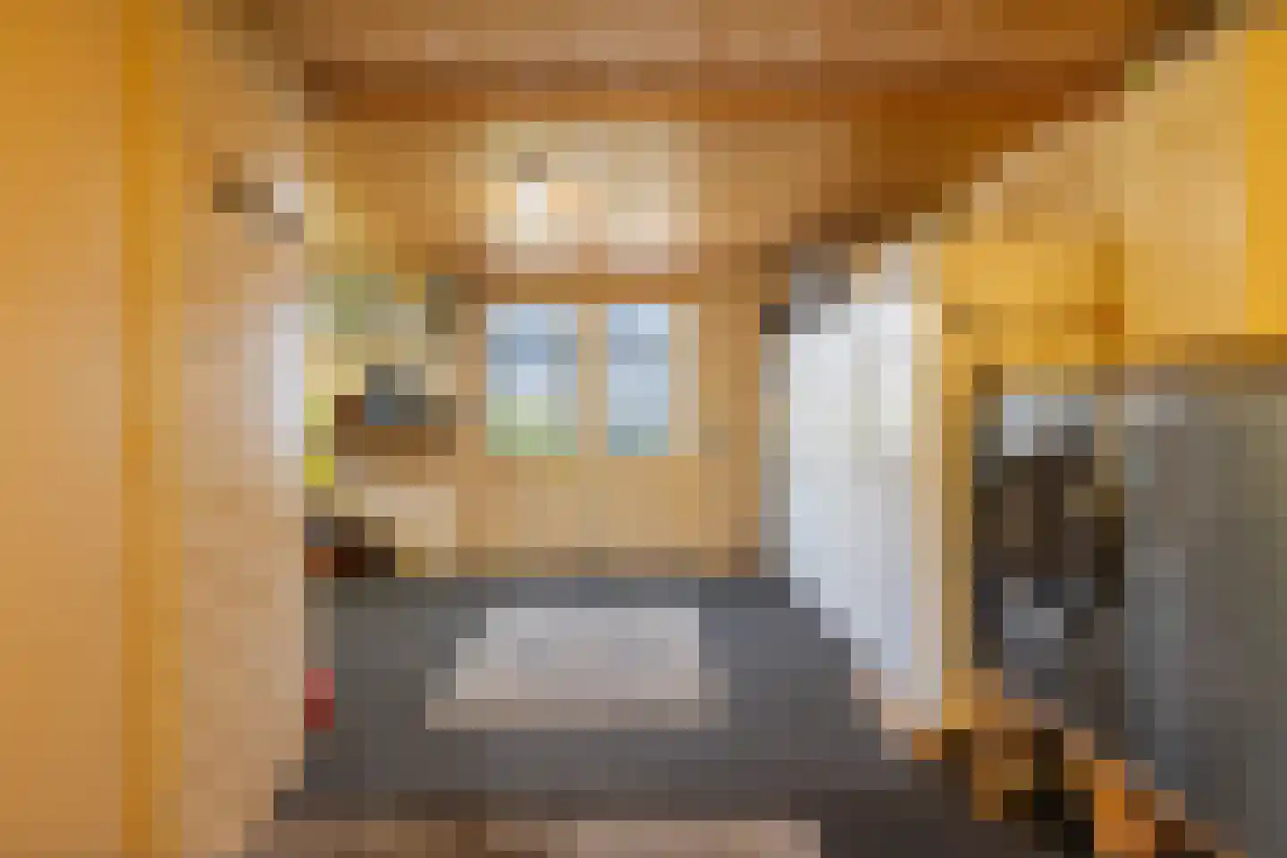 Van Ekelenburgstraat 18 Nieuw-Amsterdam thumbnail 15
