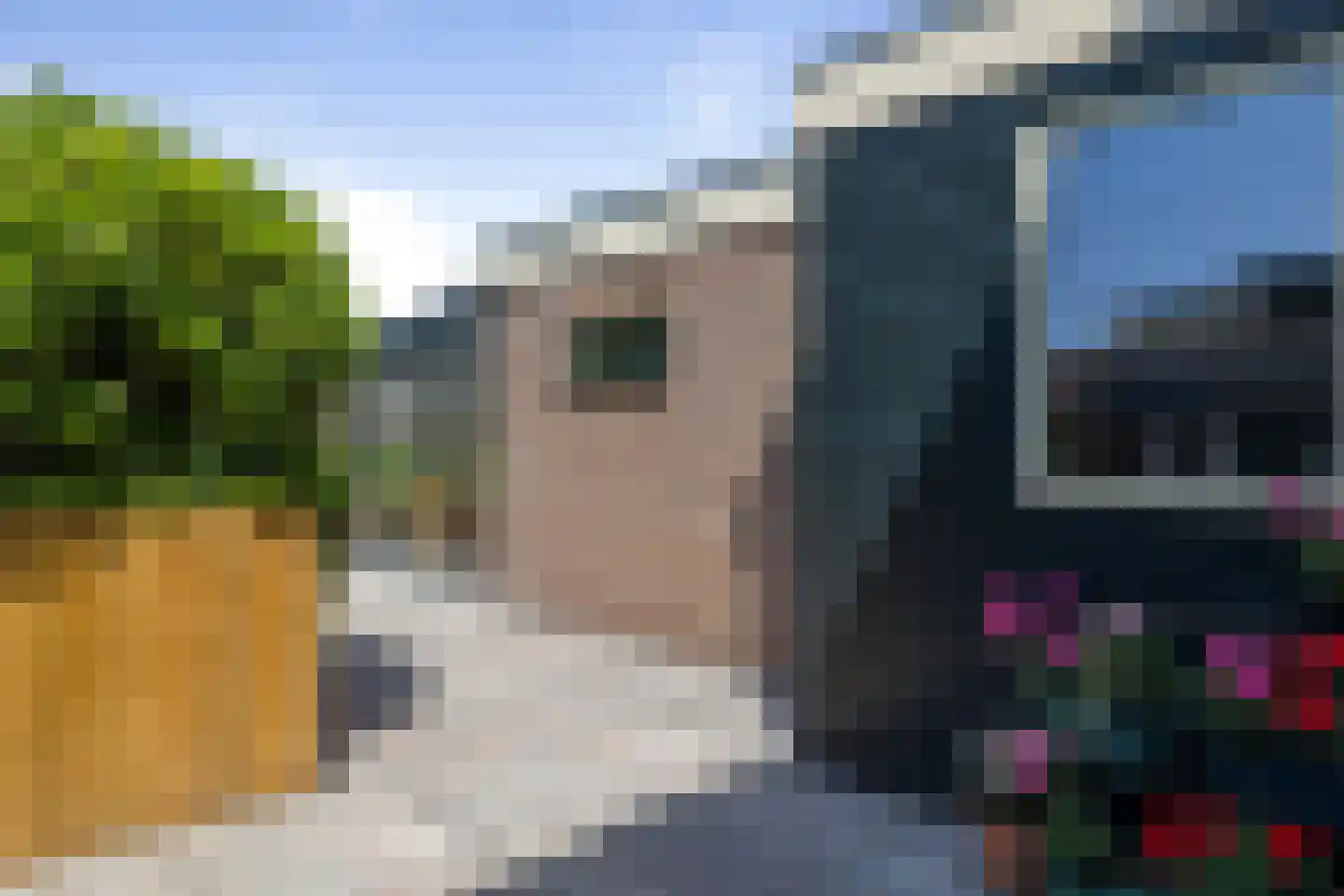 Van Ekelenburgstraat 18 Nieuw-Amsterdam thumbnail 37