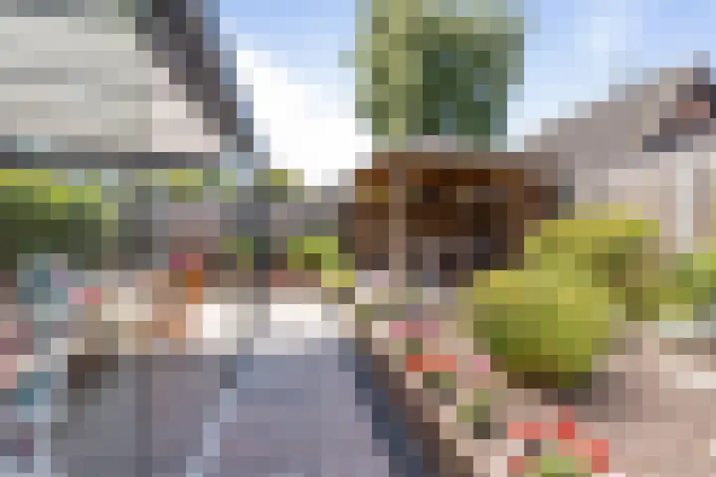 Van Ekelenburgstraat 18 Nieuw-Amsterdam thumbnail 38