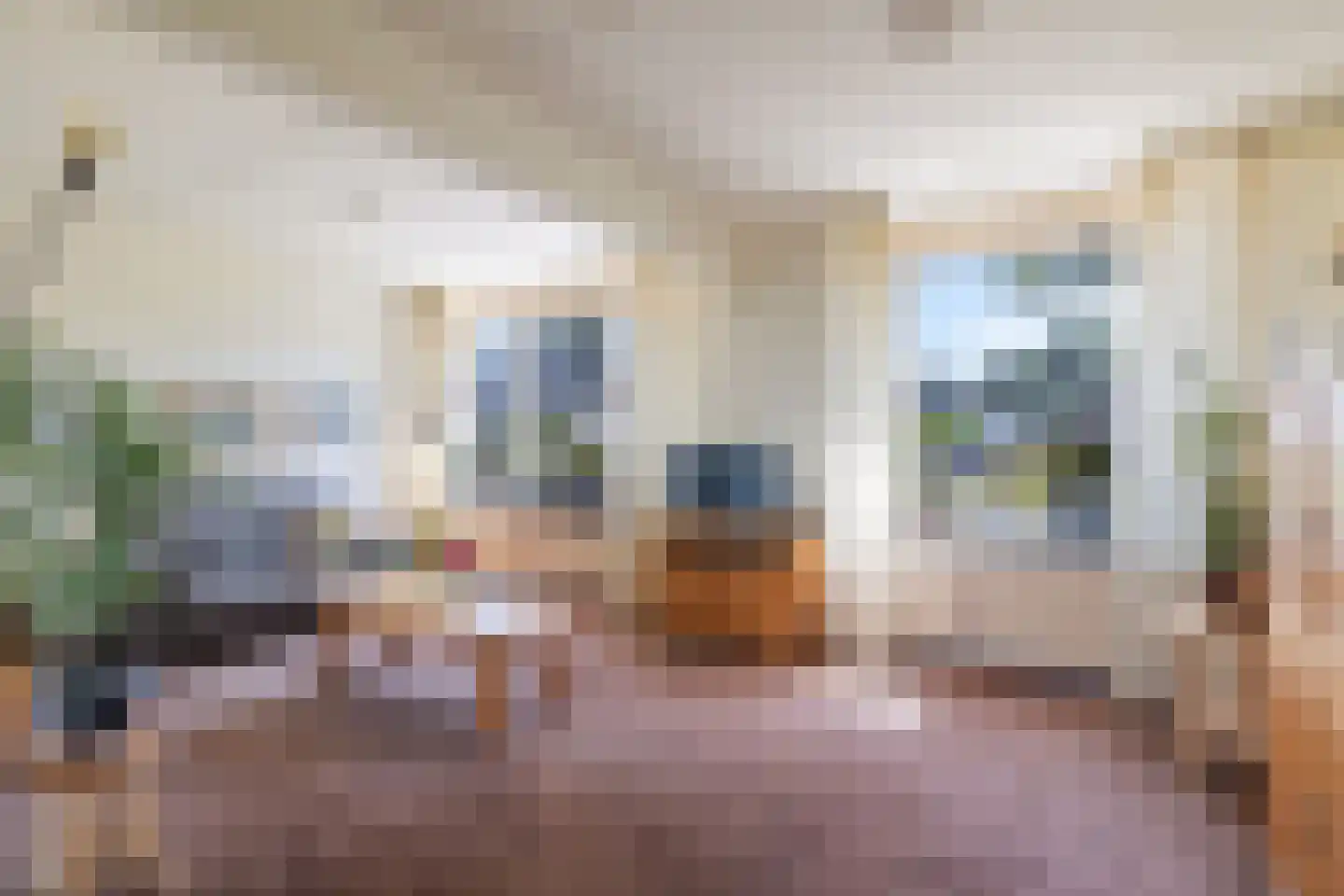 Van Ekelenburgstraat 18 Nieuw-Amsterdam thumbnail 6