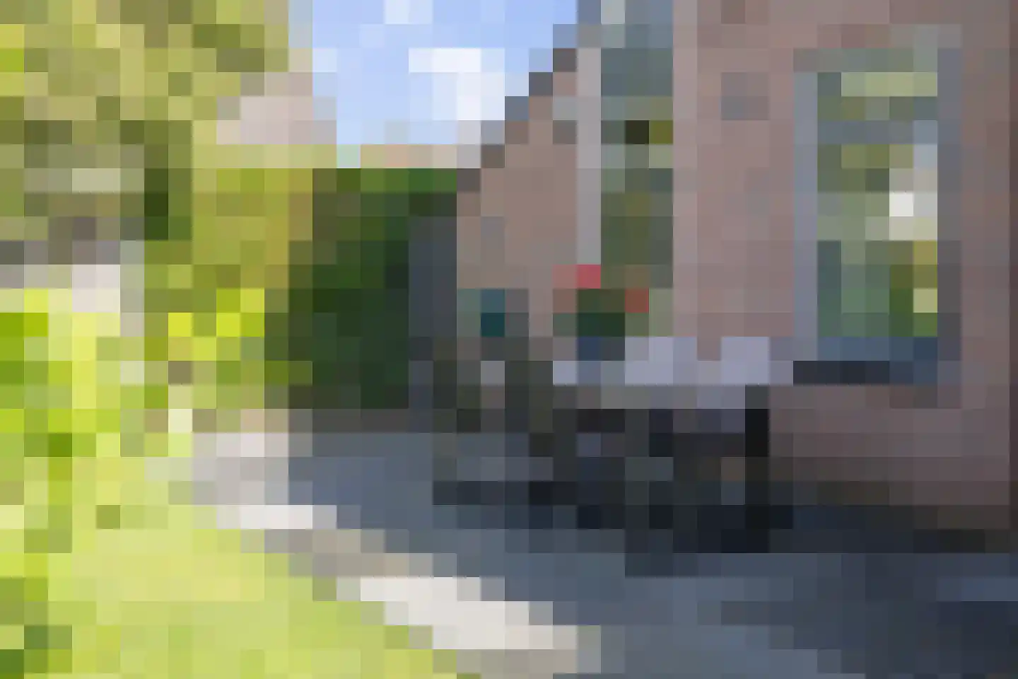 Van Ekelenburgstraat 36 Nieuw-Amsterdam thumbnail 10