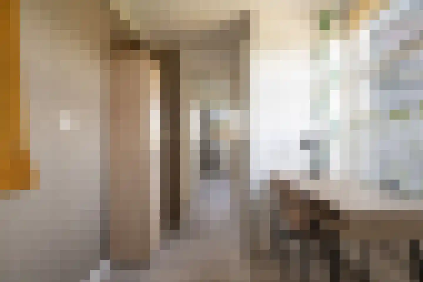 Van Ekelenburgstraat 36 Nieuw-Amsterdam thumbnail 37