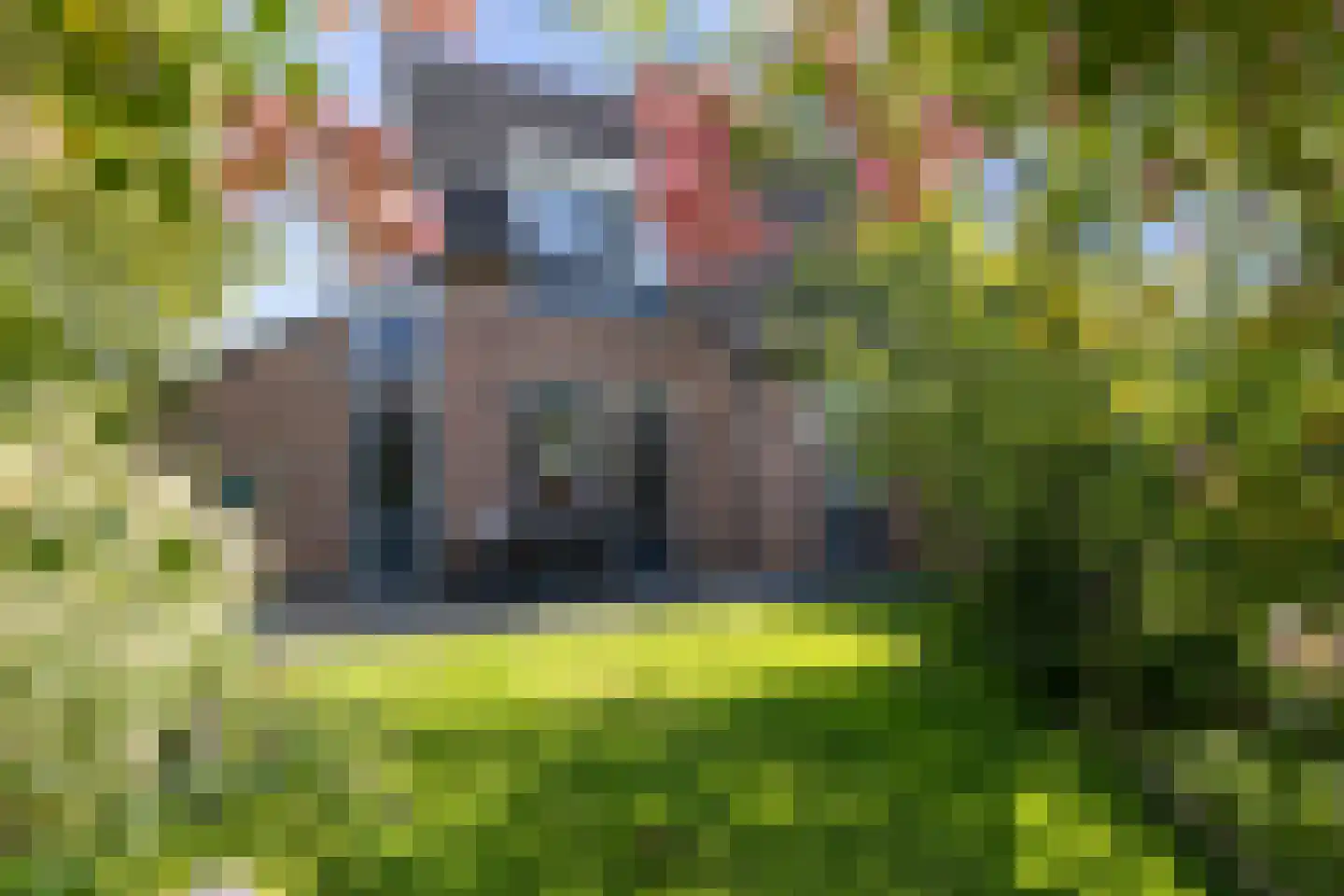 Van Ekelenburgstraat 36 Nieuw-Amsterdam thumbnail 8