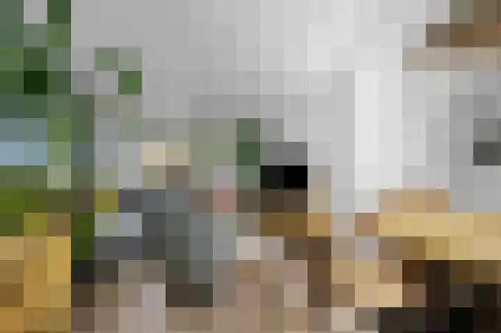 Van Eklaan 32 Nieuw-Schoonebeek thumbnail 11