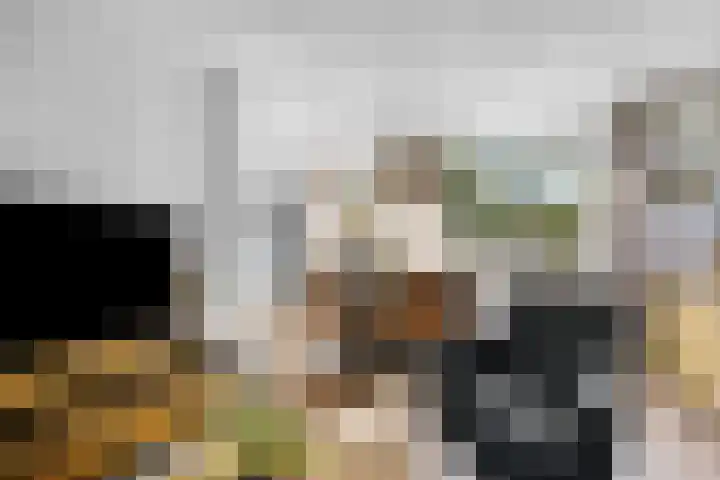 Van Eklaan 32 Nieuw-Schoonebeek thumbnail 14