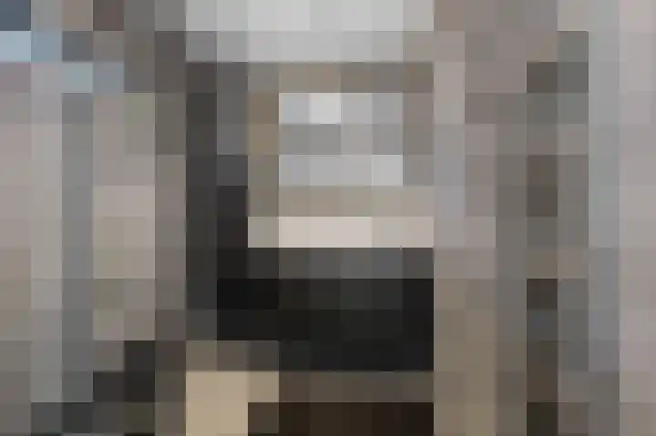Van Eklaan 32 Nieuw-Schoonebeek thumbnail 24