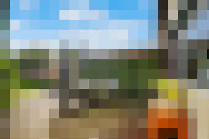 Van Eklaan 32 Nieuw-Schoonebeek thumbnail 27